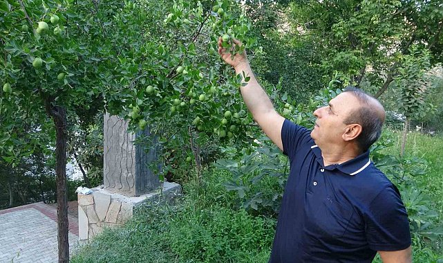 Malatya'da alternatif ürün hünnaptan yüksek verim alındı