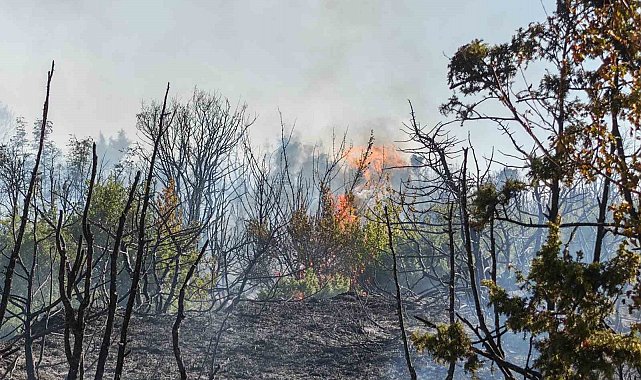 Malkara'da makilik alanda yangın