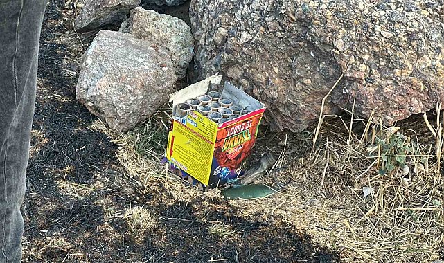 Maltepe'de ormana yakın noktada atılan havai fişek yangın çıkardı
