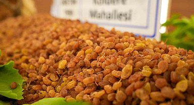 Manisa'da borsaya gelen yılın ilk kuru üzümü 3 bin 500 TL'den alındı