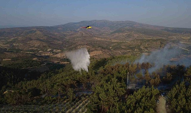 Manisa'daki yangında 5 hektarlık kızılçam ormanı zarar gördü