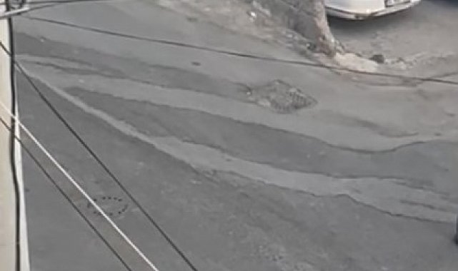 Mardin'de park halindeki otomobil alev aldı