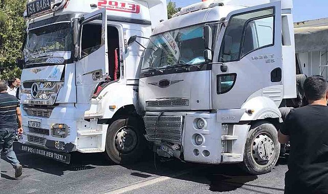 Mardin'de zincirleme trafik kazası: 1 yaralı