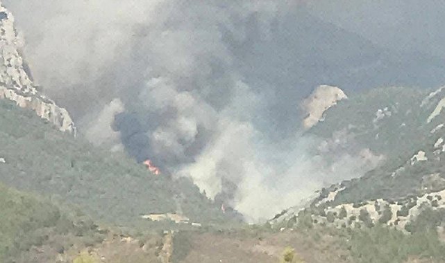 Mersin'de ikinci orman yangını