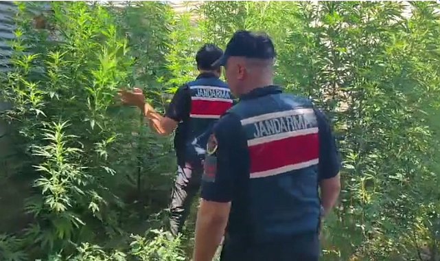 Mersin'de uyuşturucu operasyonu: 8 gözaltı