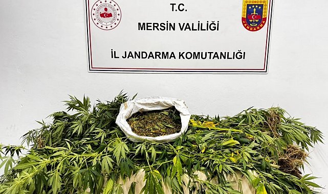 Mersin'de uyuşturucu operasyonu