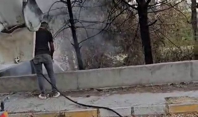 Mikser sürücüsü ağaçları yanmaktan kurtardı
