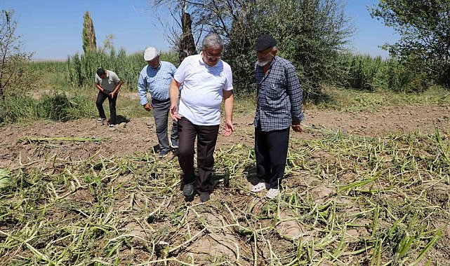 Milletvekili Yurdunuseven zarar gören tarım arazilerini inceledi