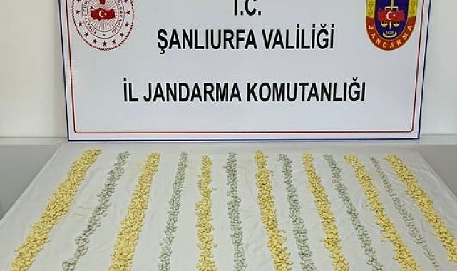 MİT tespit etti, jandarma operasyon düzenledi