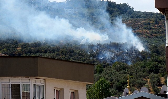 Mudanya'da korkutan yangın
