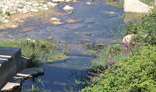 Mudurnu Deresi'ni kirleten firmanın faaliyeti durduruldu