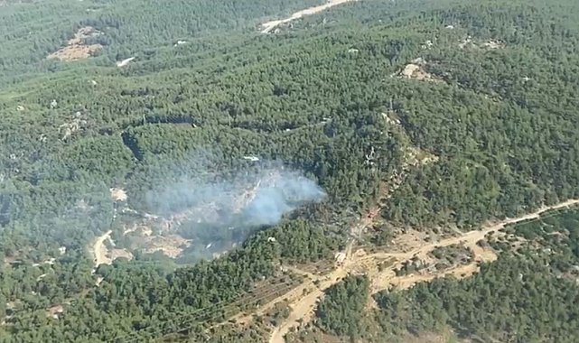 Muğla Milas'ta ormanlık alanda yangın
