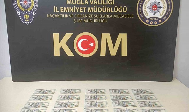 Muğla'da sahte dolar operasyonu