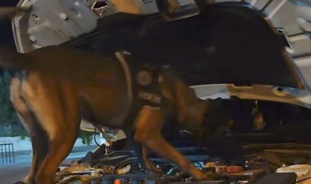 Muş'ta polis ekiplerinden suç ve suçlulara geçit yok