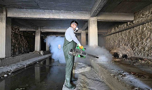 Mut'ta sineksiz yaz için etkili mücadele sürüyor