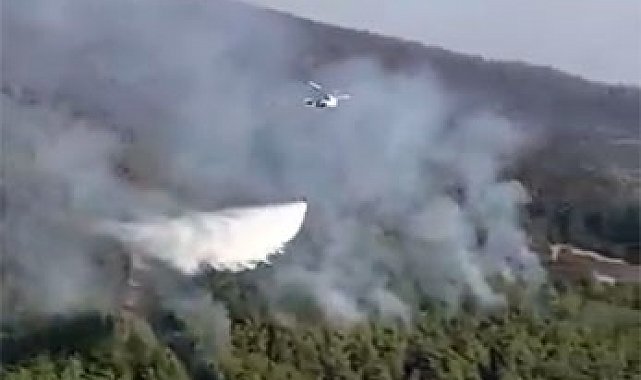 OGM: "Adana İmamoğlu'nda orman dışı alanda başlayan yangını tamamen kontrol altına aldık"