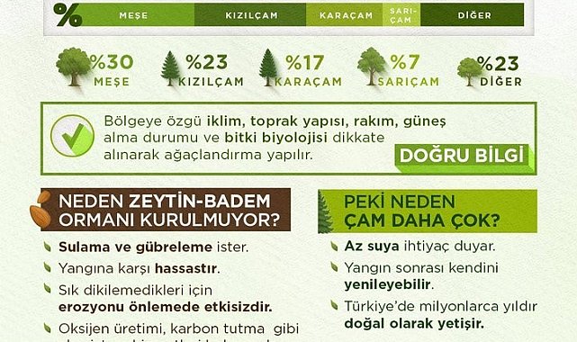 OGM tarafından orman yangınlarından sonra yapılan çalışmalar açıklandı
