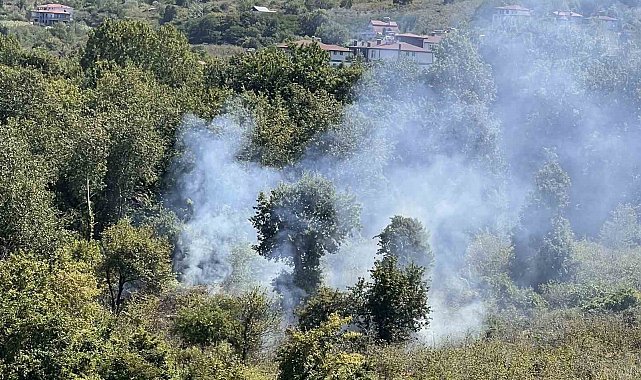 Ordu'da bahçe temizliği yangına yol açtı