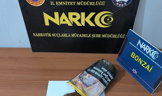 Ordu'da uyuşturucu operasyonlarında 2 tutuklama