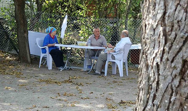 Orman yangınında 60 yıl sonra aynı acıyı yaşadı