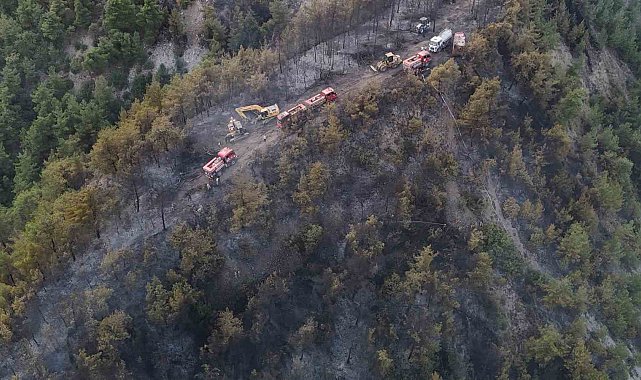 Orman yangınında zarar gören alanlar dronla görüntülendi