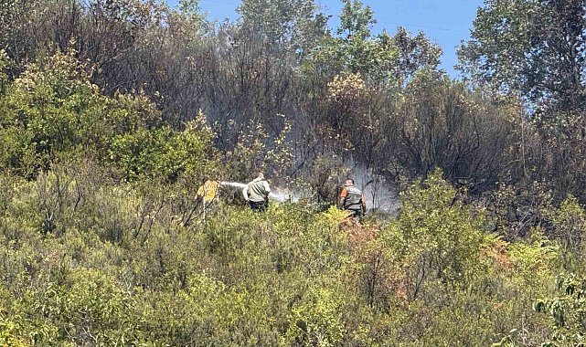 Ormanlık alanda çıkan yangın 2 saatte söndürüldü