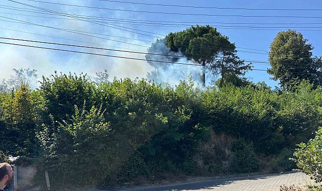 Ormanlık alanda çıkan yangın korkuttu