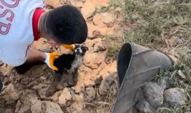 Osmaniye atık su kuyusunda mahsur kalan 2 yavru köpek kurtarıldı