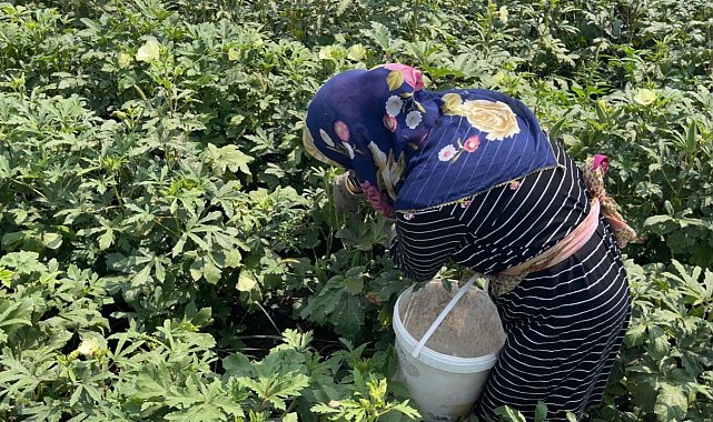 Osmaniye'de doğa ve hayvan sevgisi aynı toprakta filizleniyor