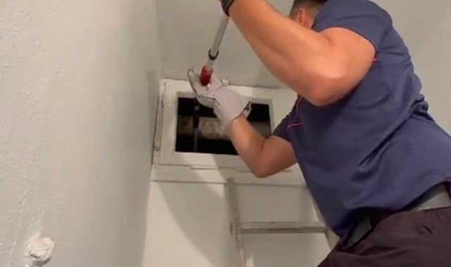 Osmaniye'de havalandırma boşluğuna düşen yavru kedi kurtarıldı