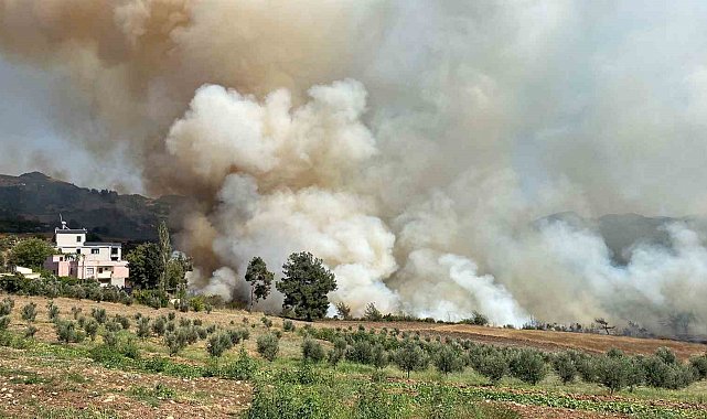 Osmaniye'de ormanlık alanda yangın çıktı