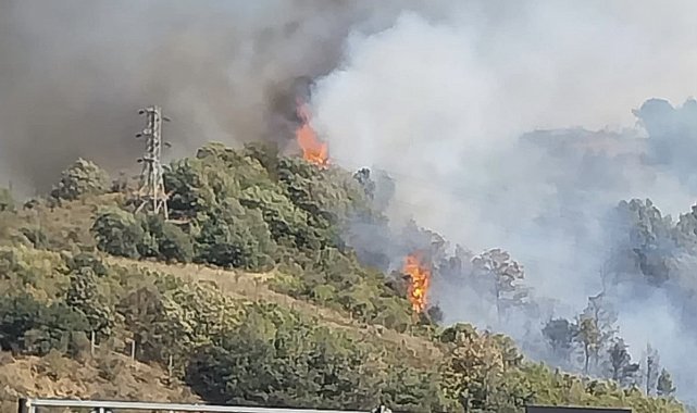 Osmaniye'nin Bahçe ilçesinde ormanlık alanda yangın çıktı