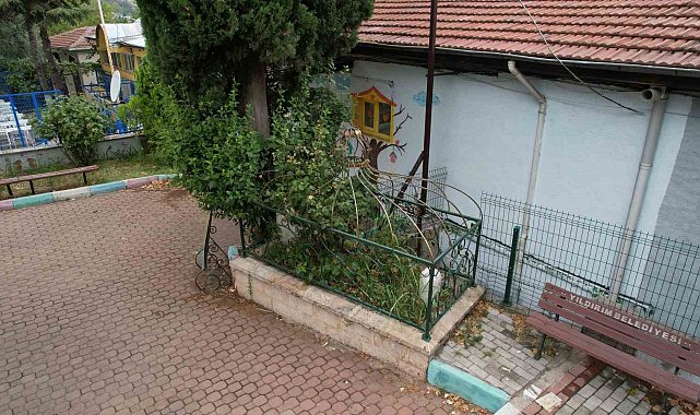 Osmanlı'nın önemli aliminin kabri, yalnızlığa terk edildi