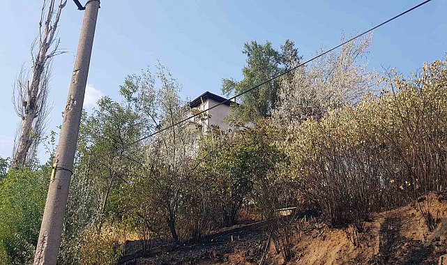 Otluk alanda çıkan yangın evlere sıçramadan söndürüldü