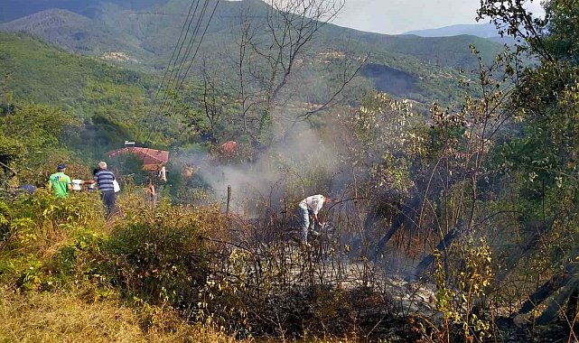 Otluk alanda çıkan yangın evlere ve ormanlık alana sıçramadan söndürüldü