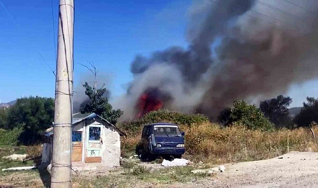 Otluk ve ağaçlık alanda çıkan yangın paniğe sebep oldu