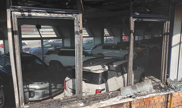 Pendik'te arazi yangını: Milyonluk sıfır araçlar son anda kurtarıldı
