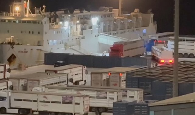 "Yüzen Ahır" yine Bandırma'da: Çelebi Limanı'na tepkiler büyüyor