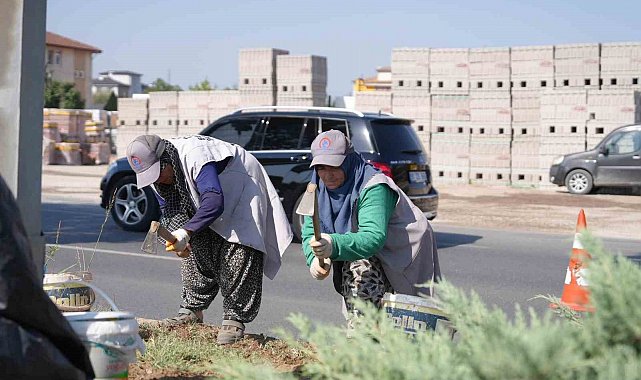 Refüjlerde bakım çalışmaları sürüyor