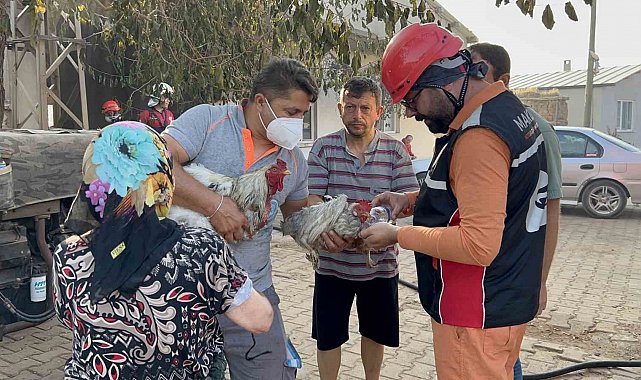 Saçaklı köyünde evi ve damı yanan kadının dumandan etkilenen tavuklarının yardımına ekipler ve gönüllüler koştu