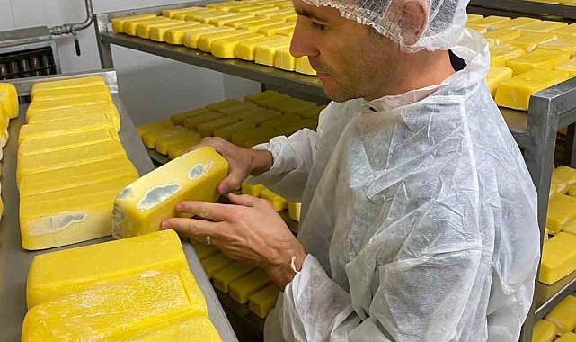 Sakarya'da 1.5 ton küflenmiş ve bozulmuş süt ürünü ele geçirildi