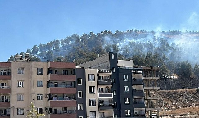 Şanlıurfa'da ağaçlık alanda çıkan yangın söndürüldü