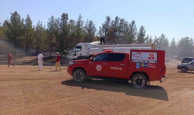 Şanlıurfa'da orman yangını