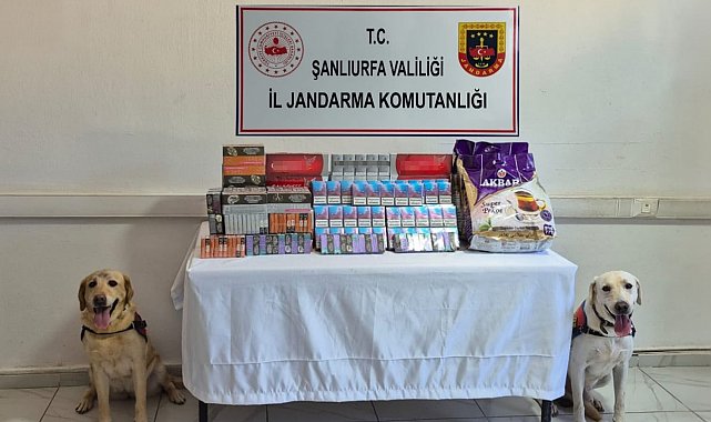 Şanlıurfa'da tütün ve alkol kaçakçılarına darbe