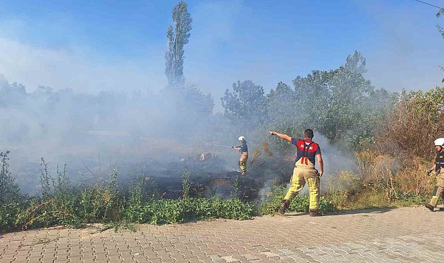 Selçuk'ta sazlık alanda yangın paniği