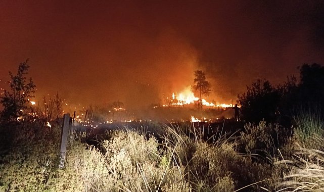 Serik'te tarım arazisinden ormana sıçrayan yangın 5 saatte söndürüldü