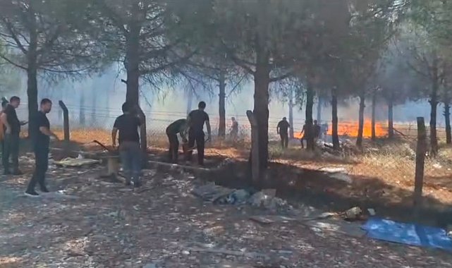 Silivri'de yangın ormanlık alana sıçramadan söndürüldü