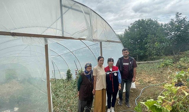 Sinop'ta modern seralar faaliyete geçti