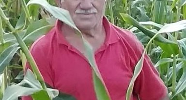 Sinop'ta traktör devrildi: 1 ölü