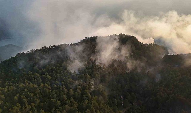 Sinop'taki orman yangını kontrol altına alındı, soğutma çalışmaları sürüyor